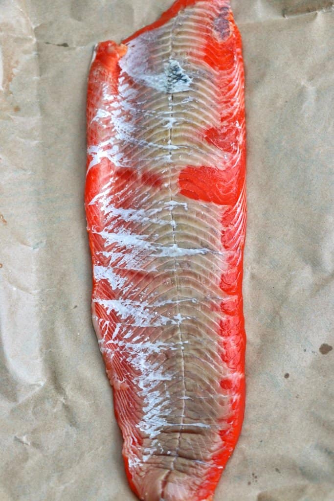 Salmon Skin Side