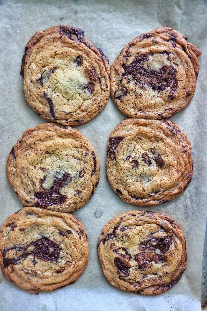 Baked Chewy Dark Chocolate Chip cookie in milk