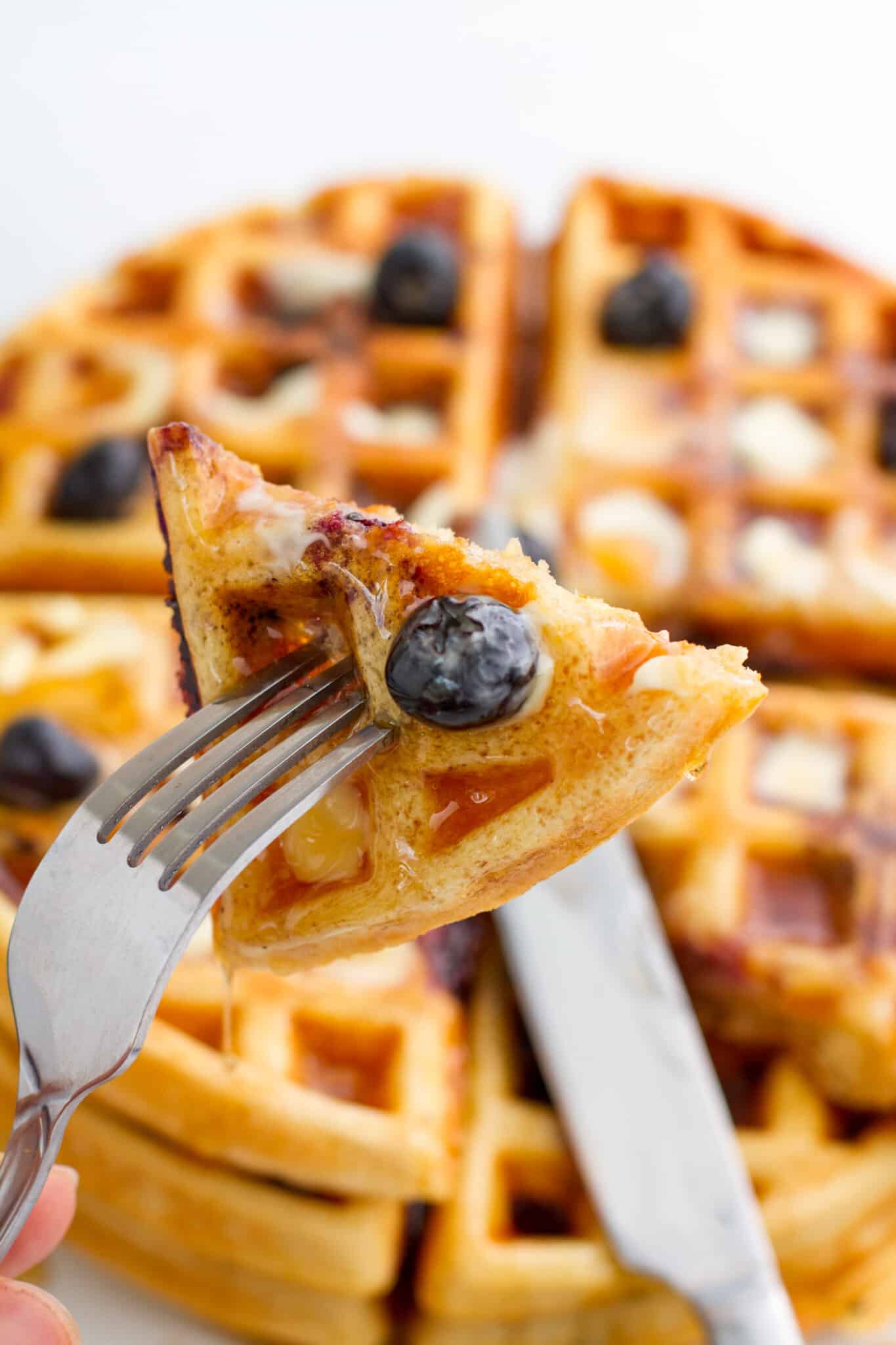 Homemade Blueberry Waffles Temple