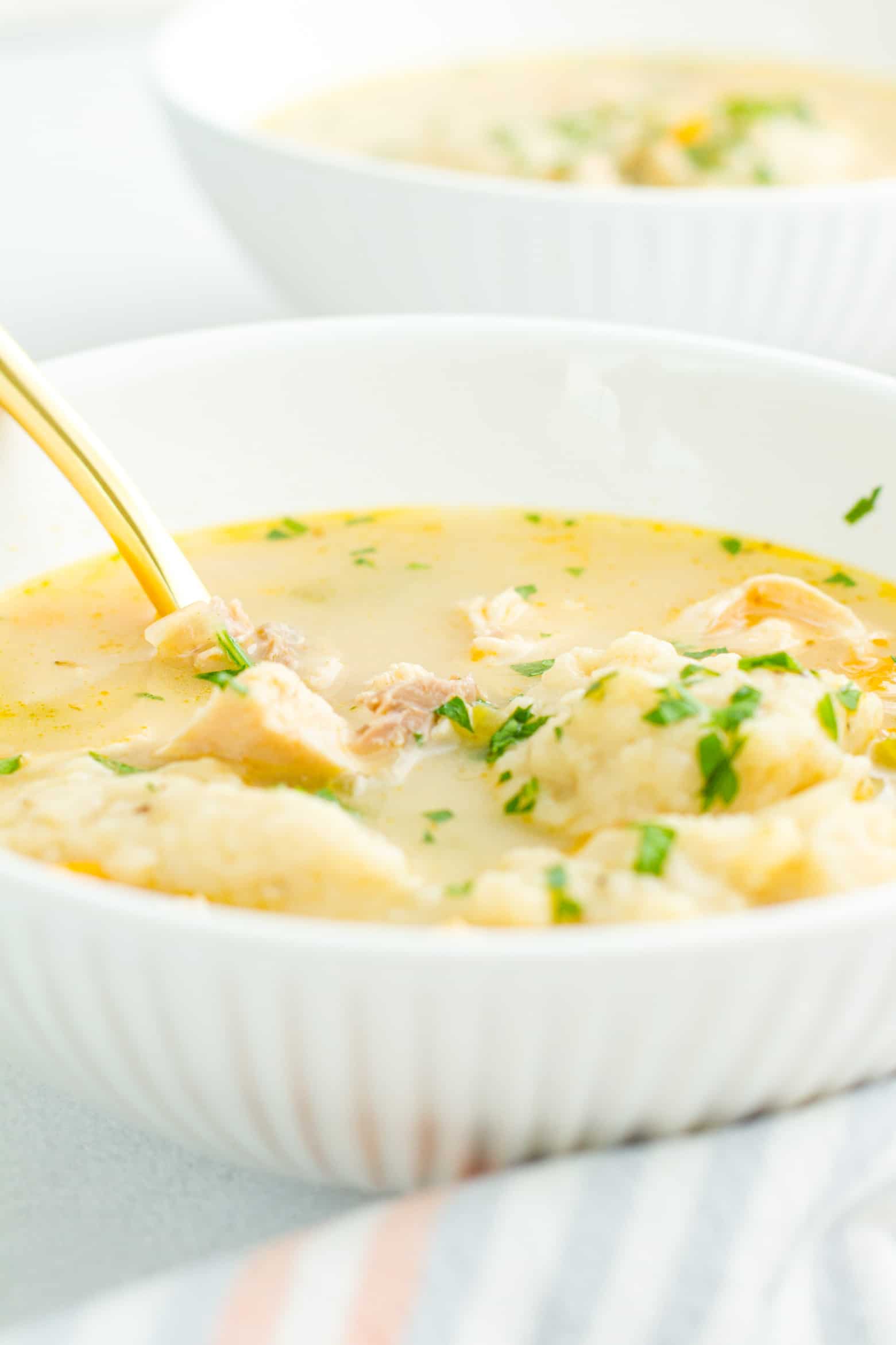 Southern Chicken and Dumplings in a bowl with a spoon.
