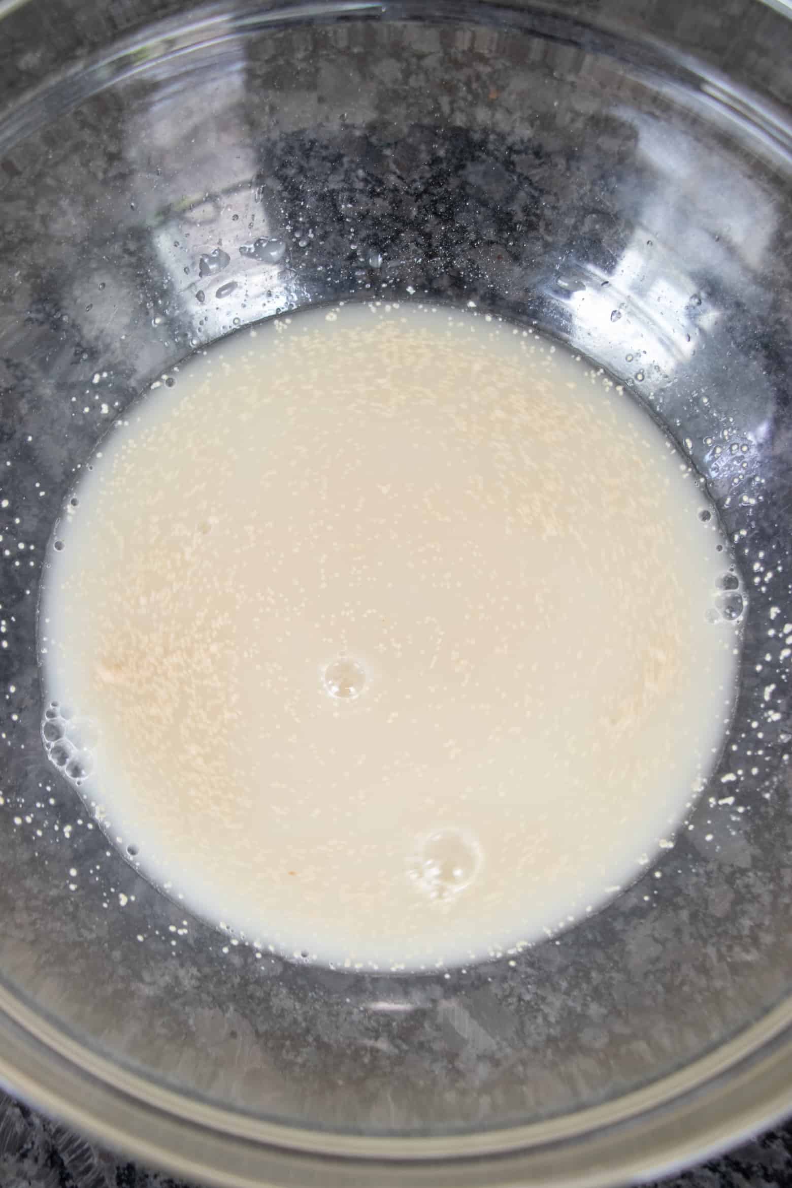yeast in a bowl with warm water