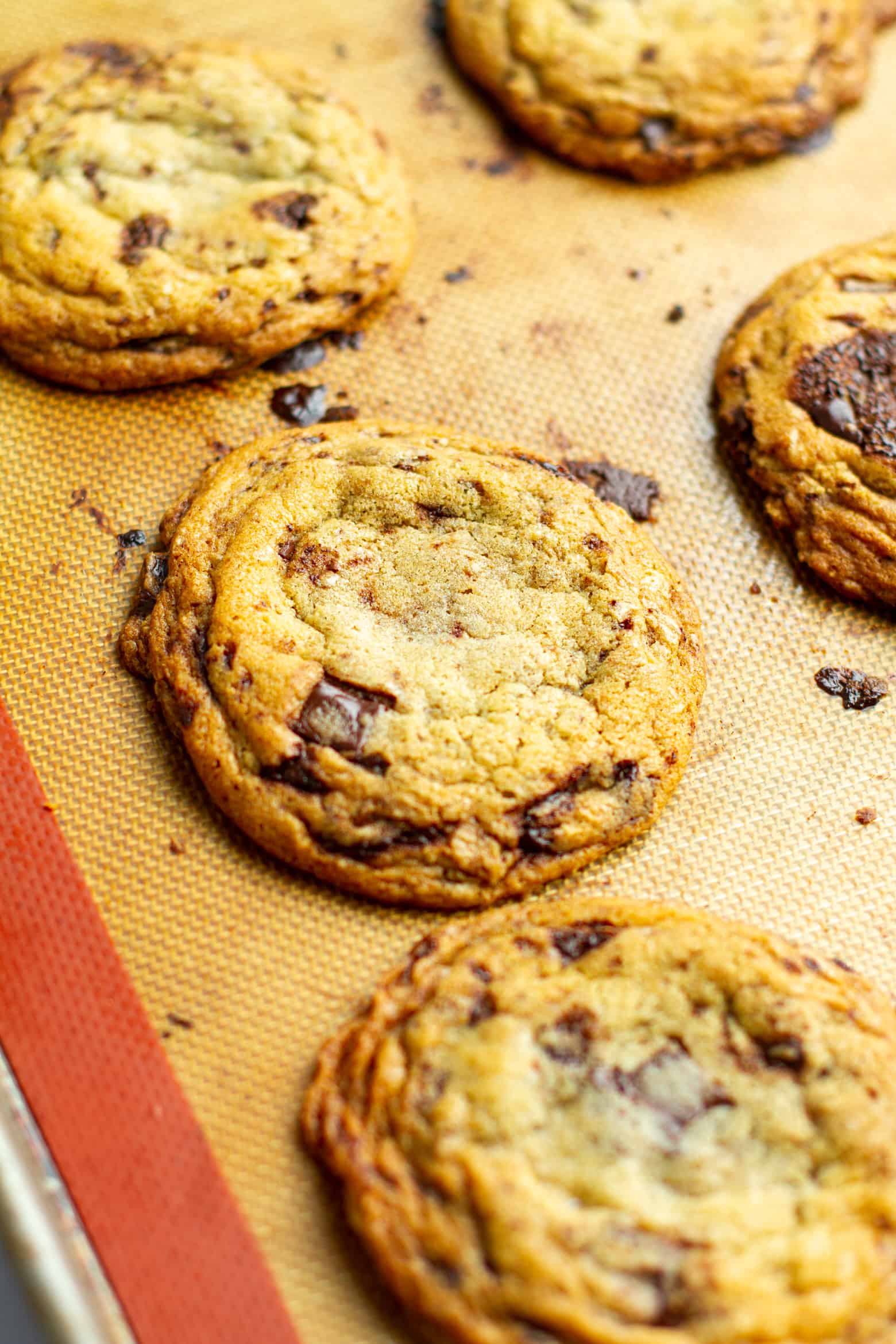 Baked Chewy Dark Chocolate Chip cookies on a baking sheet