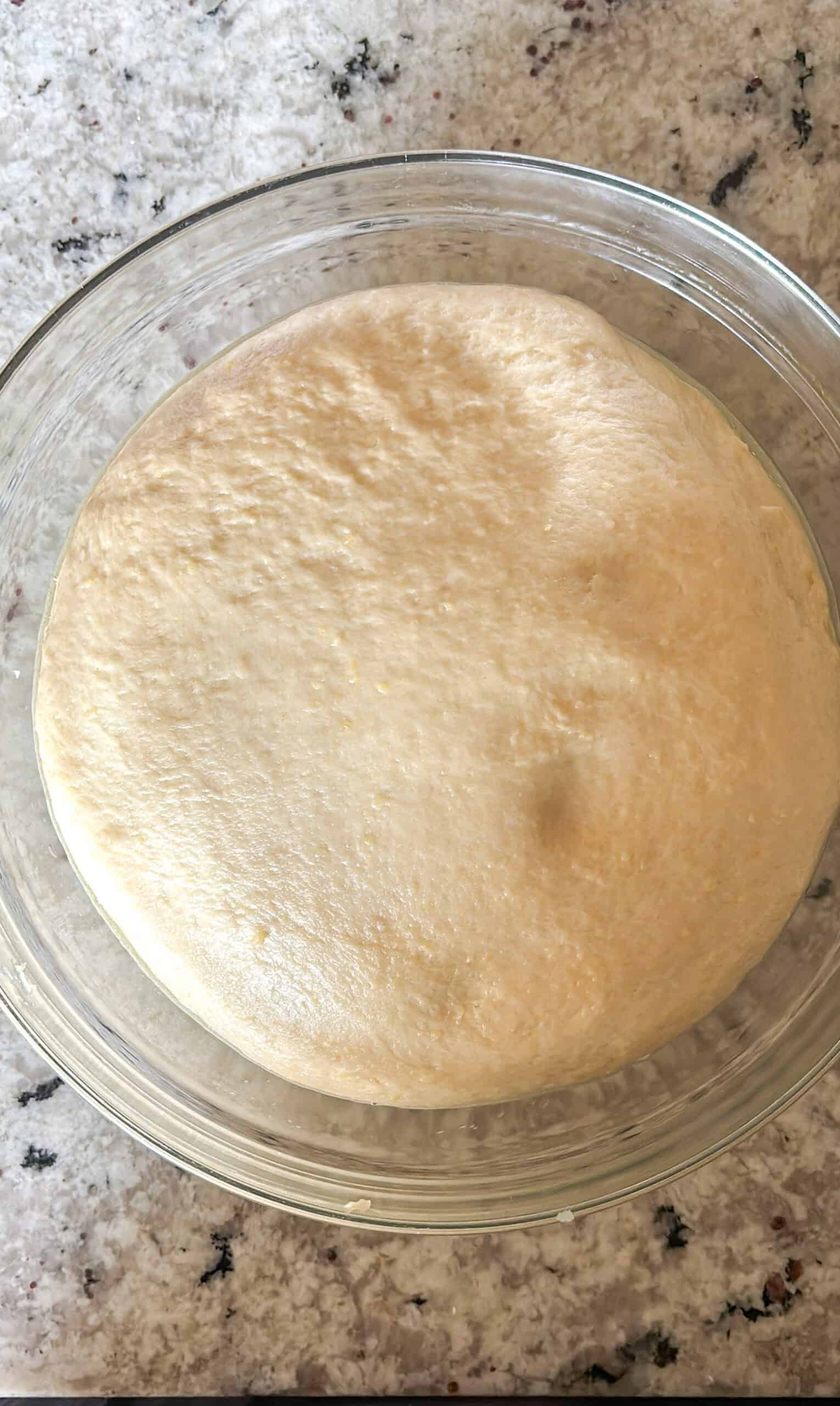 Proofed dough ball in a bowl.