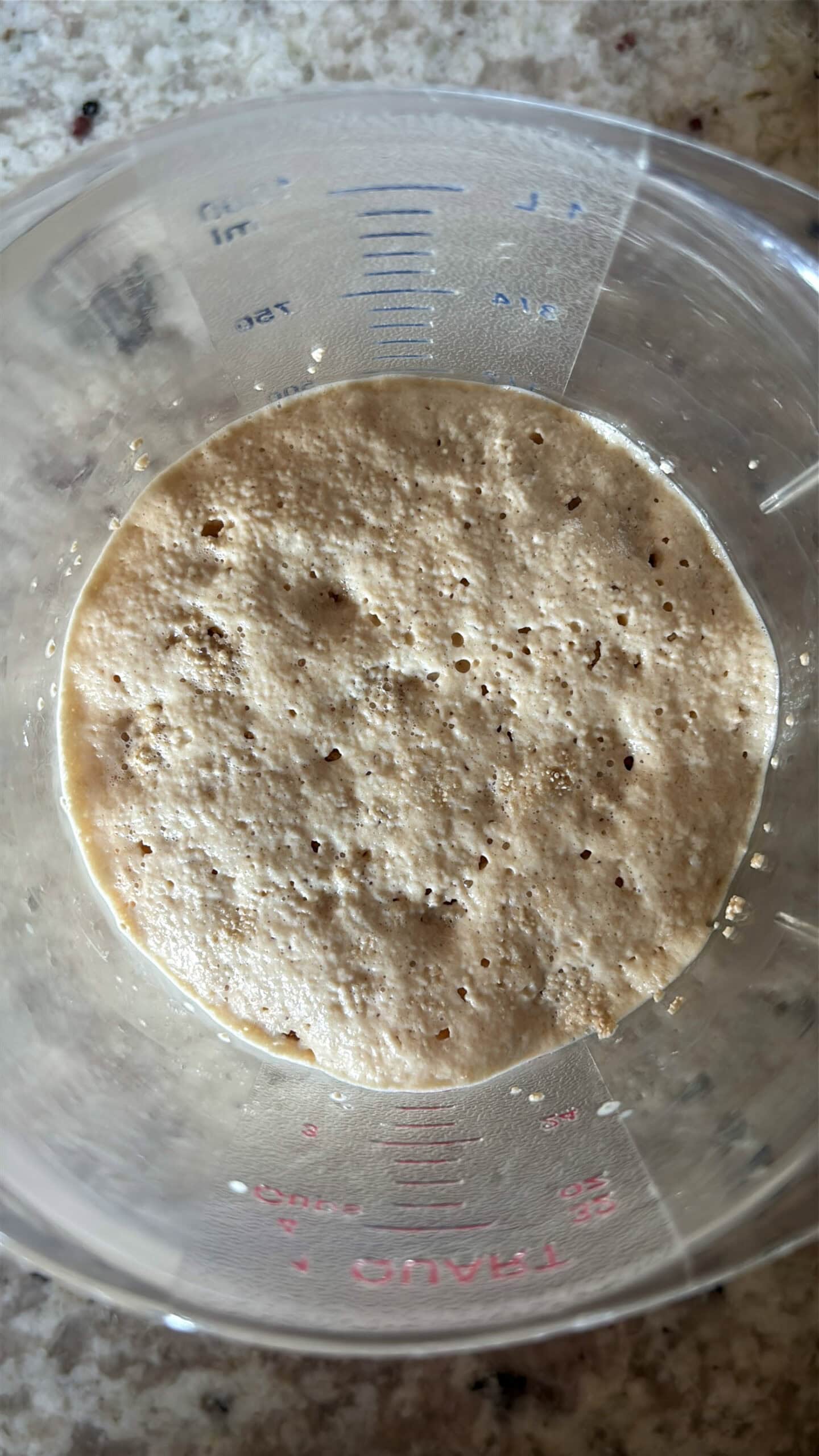 Bloomed yeast in a container.
