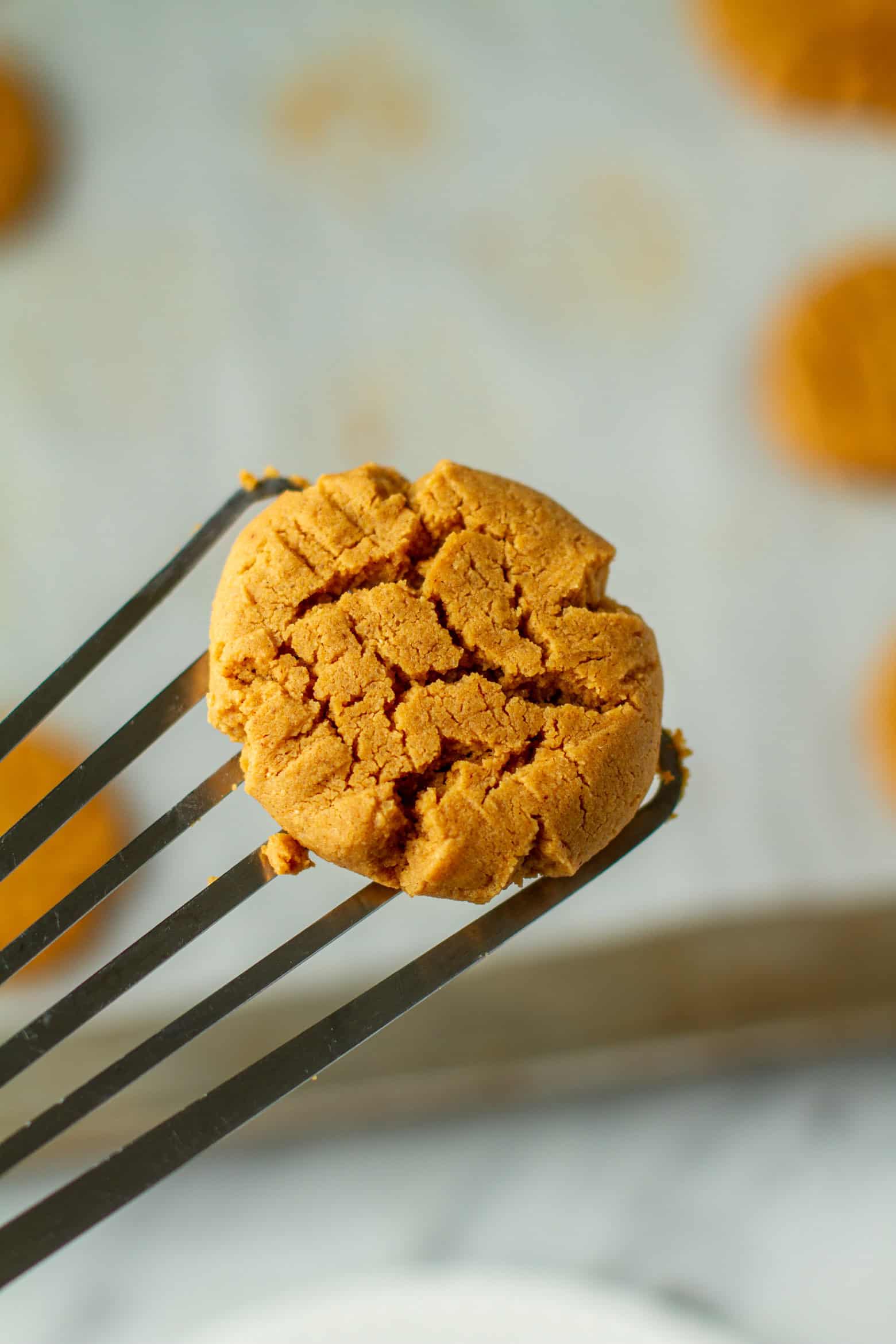 Peanut butter cookie on a spatula.