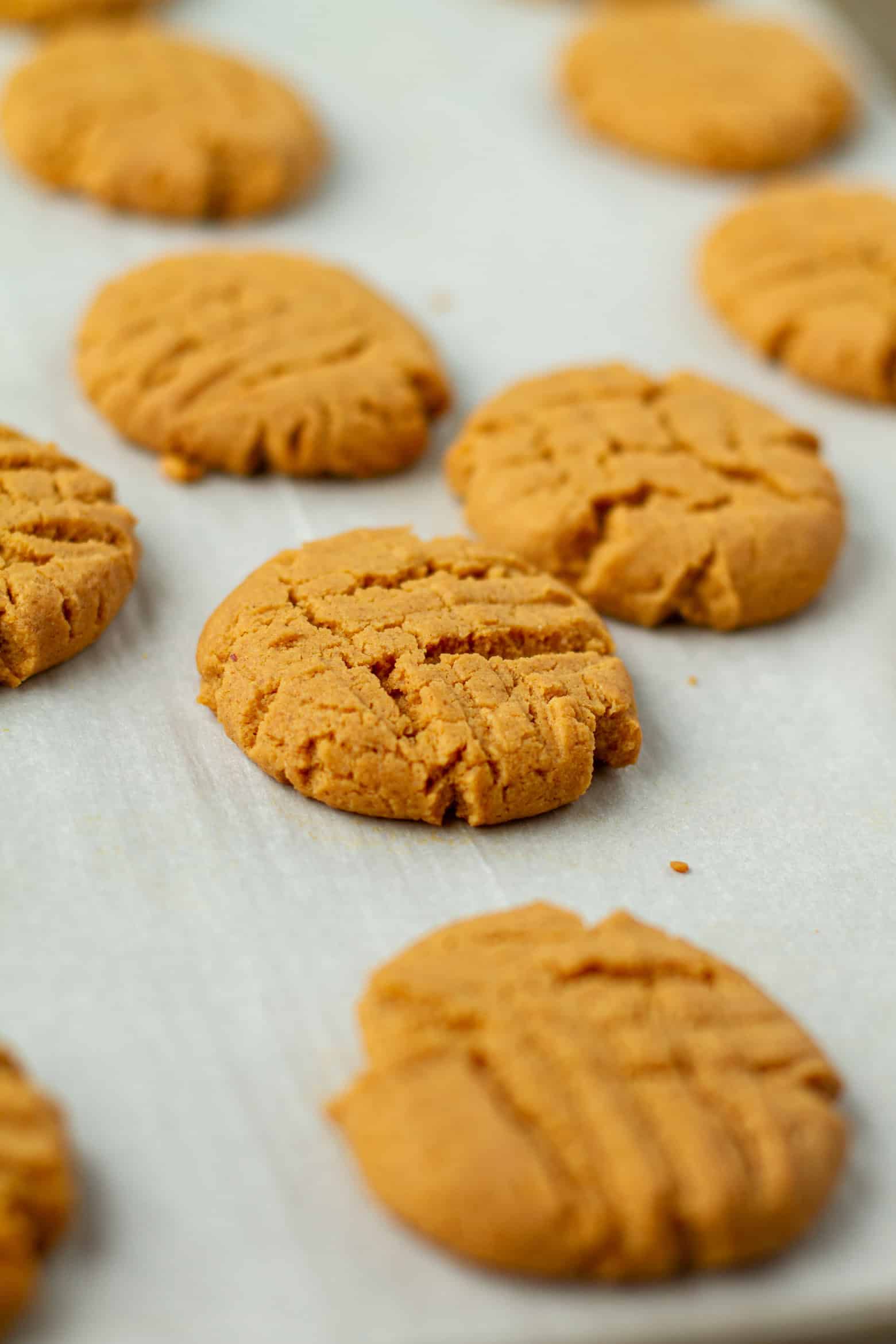 Baked peanut butter cookies on a baking sheet.