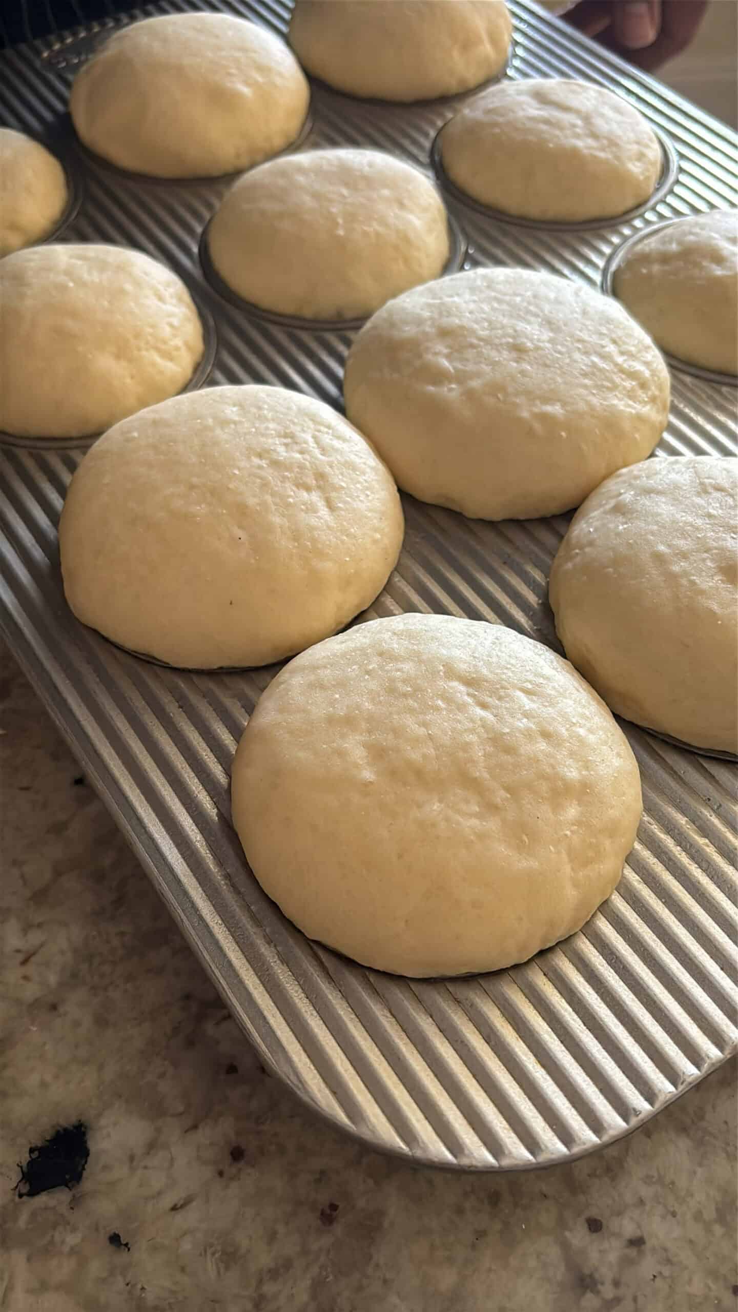 Risen buttermilk rolls in muffin pan.