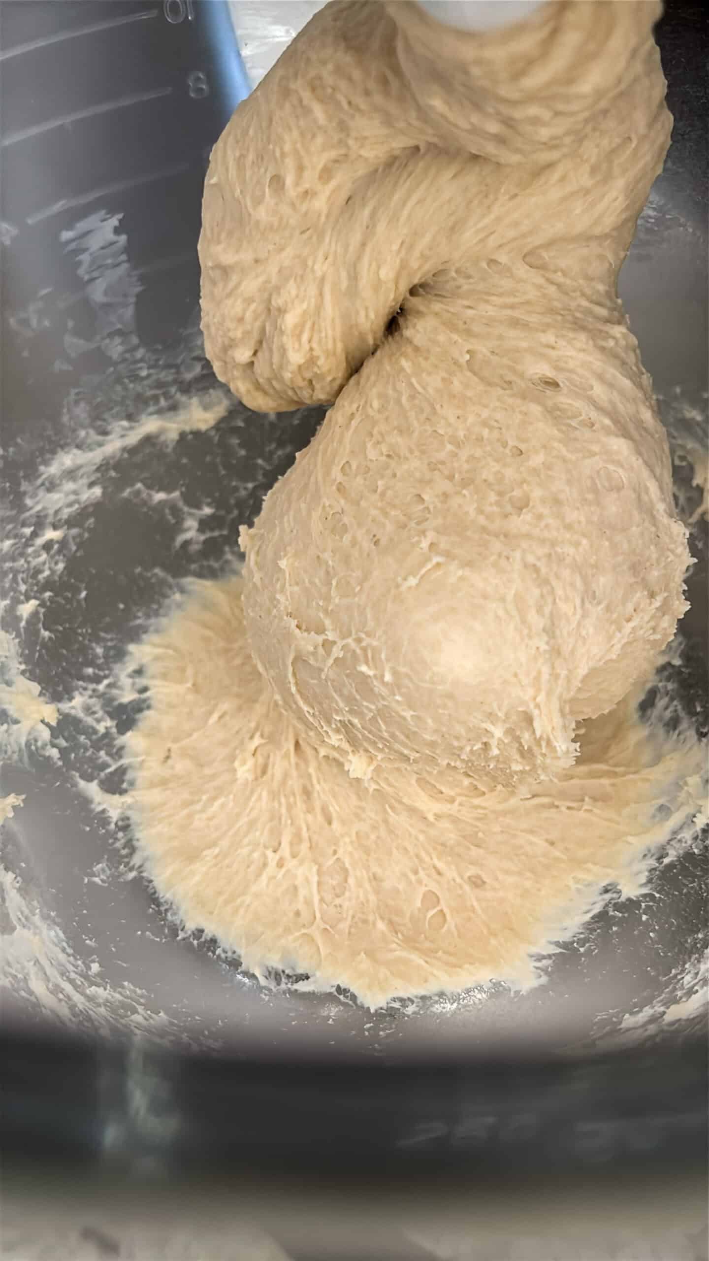Dough ball in a mixing bowl.