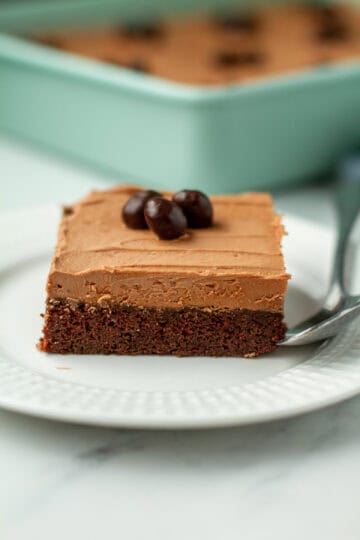 Chocolate Espresso Cake on a plate.