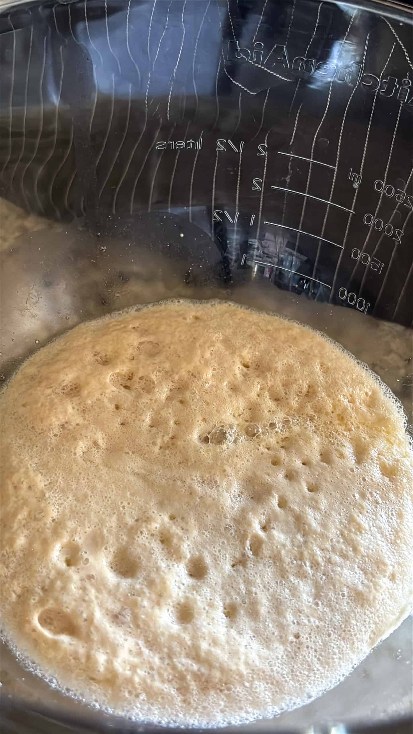 yeast mixture bubbling.