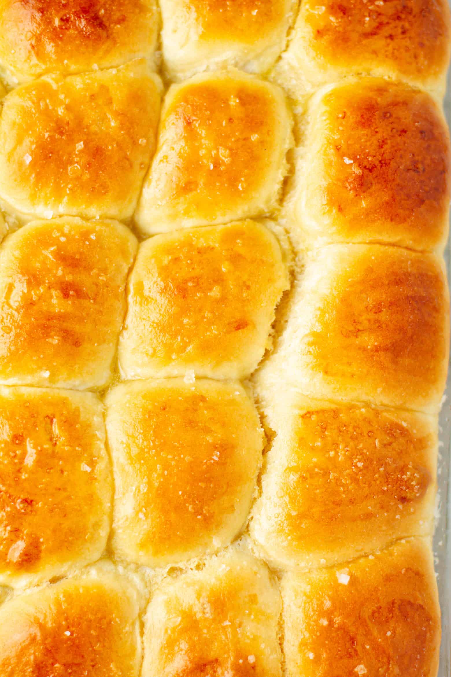 close up of Honey Butter Rolls