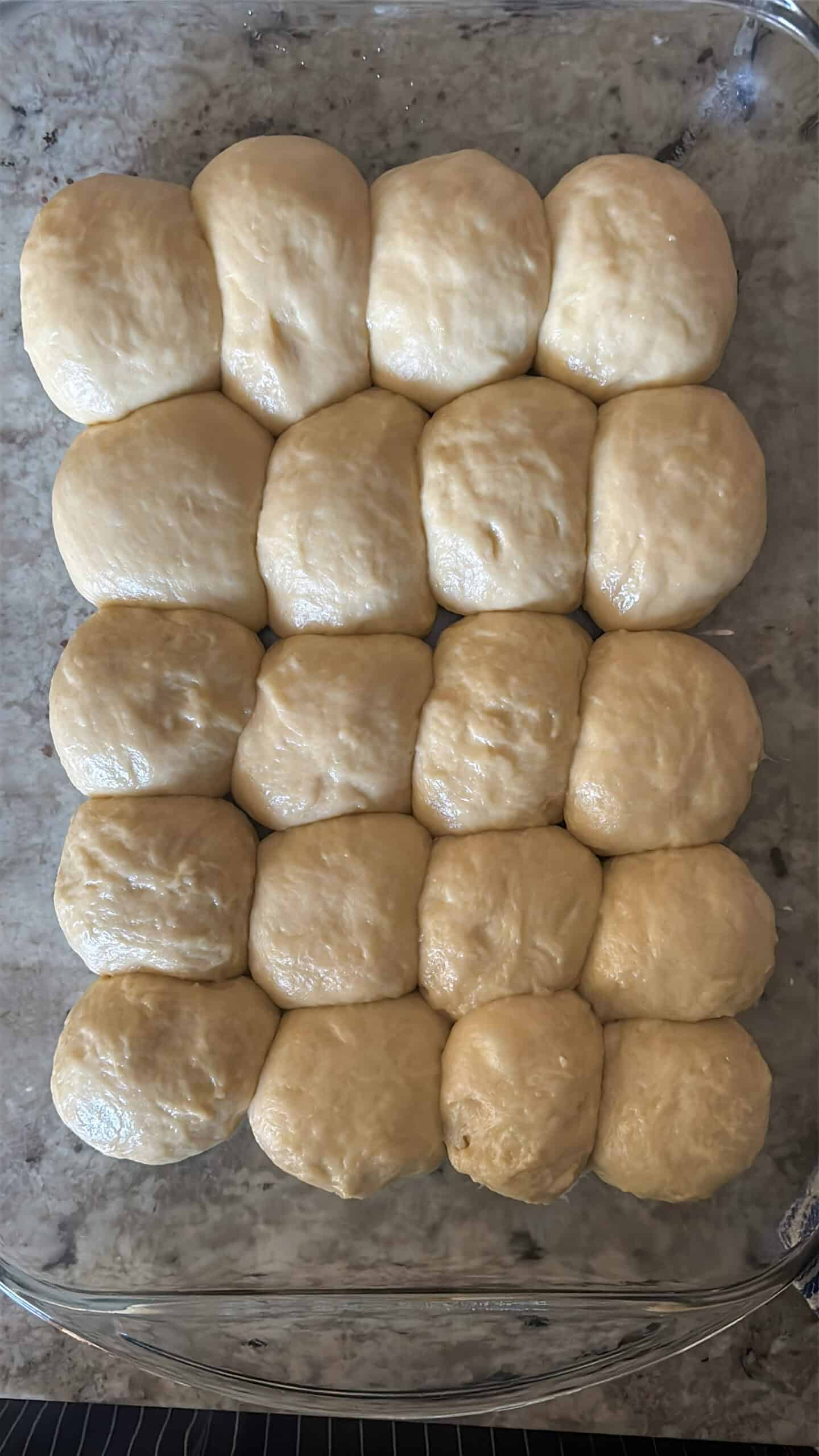 honey butter rolls in a baking pan ready for second rise.