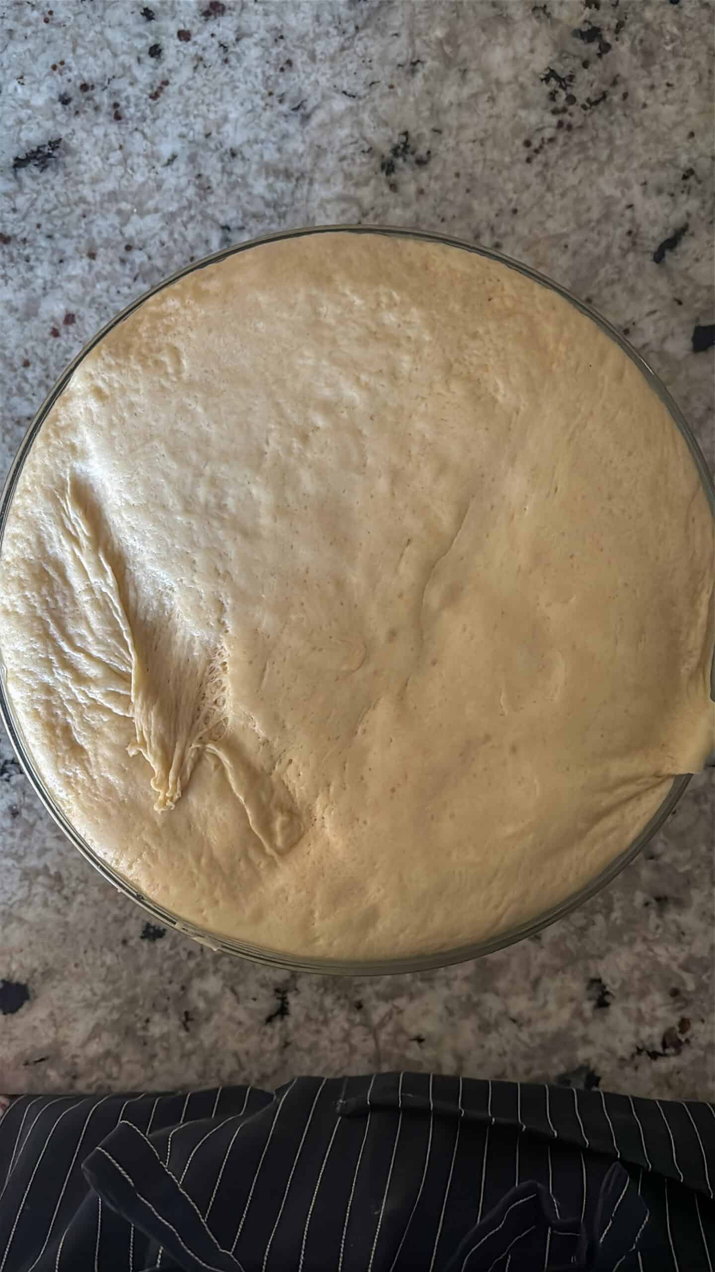 Proof dough in a bowl.