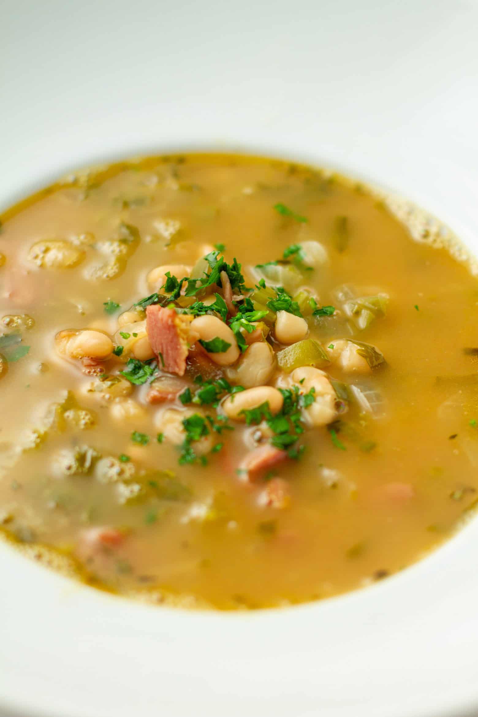 Navy bean soup in a bowl.