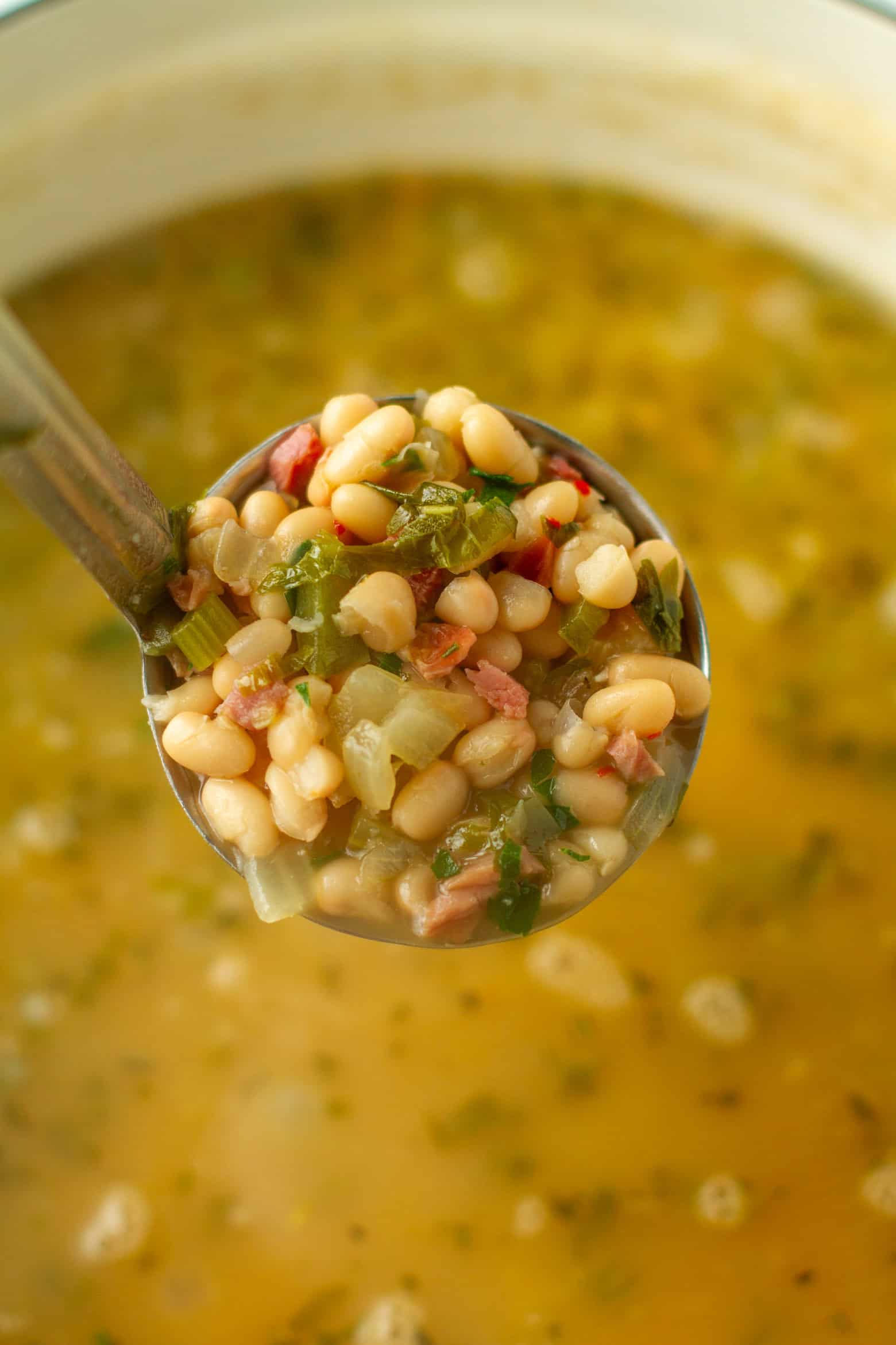 Navy bean soup in a ladle.