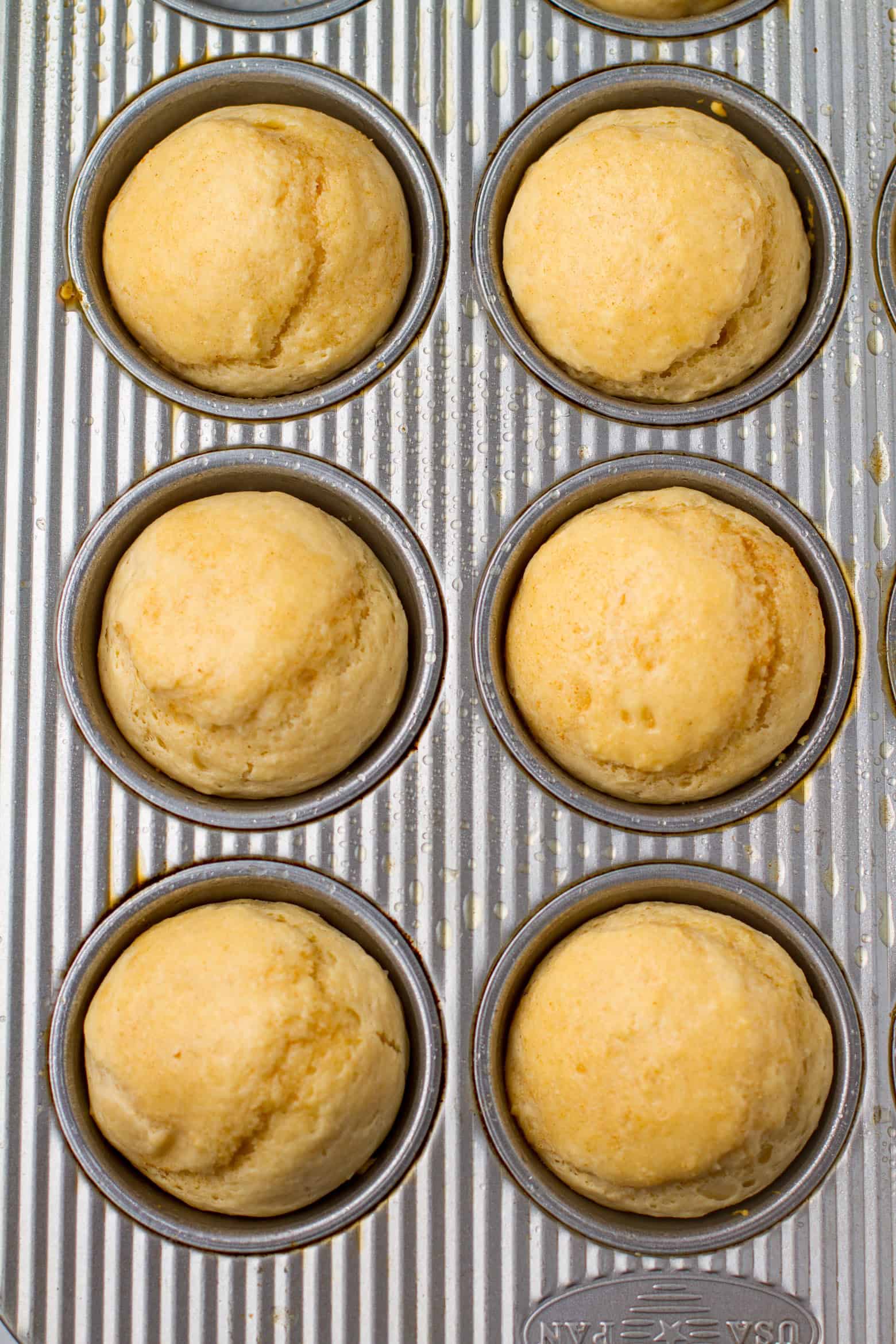 Baked no yeast rolls.