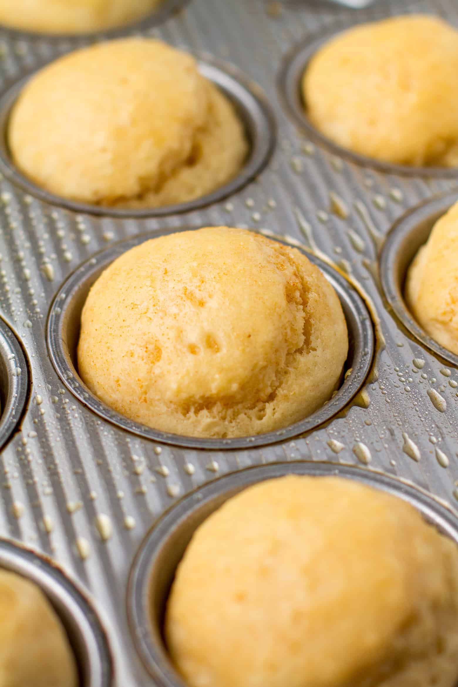Baked no yeast rolls in a muffin pan