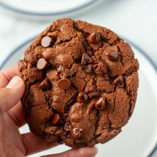 Double Chocolate Cookie in someone's hand.