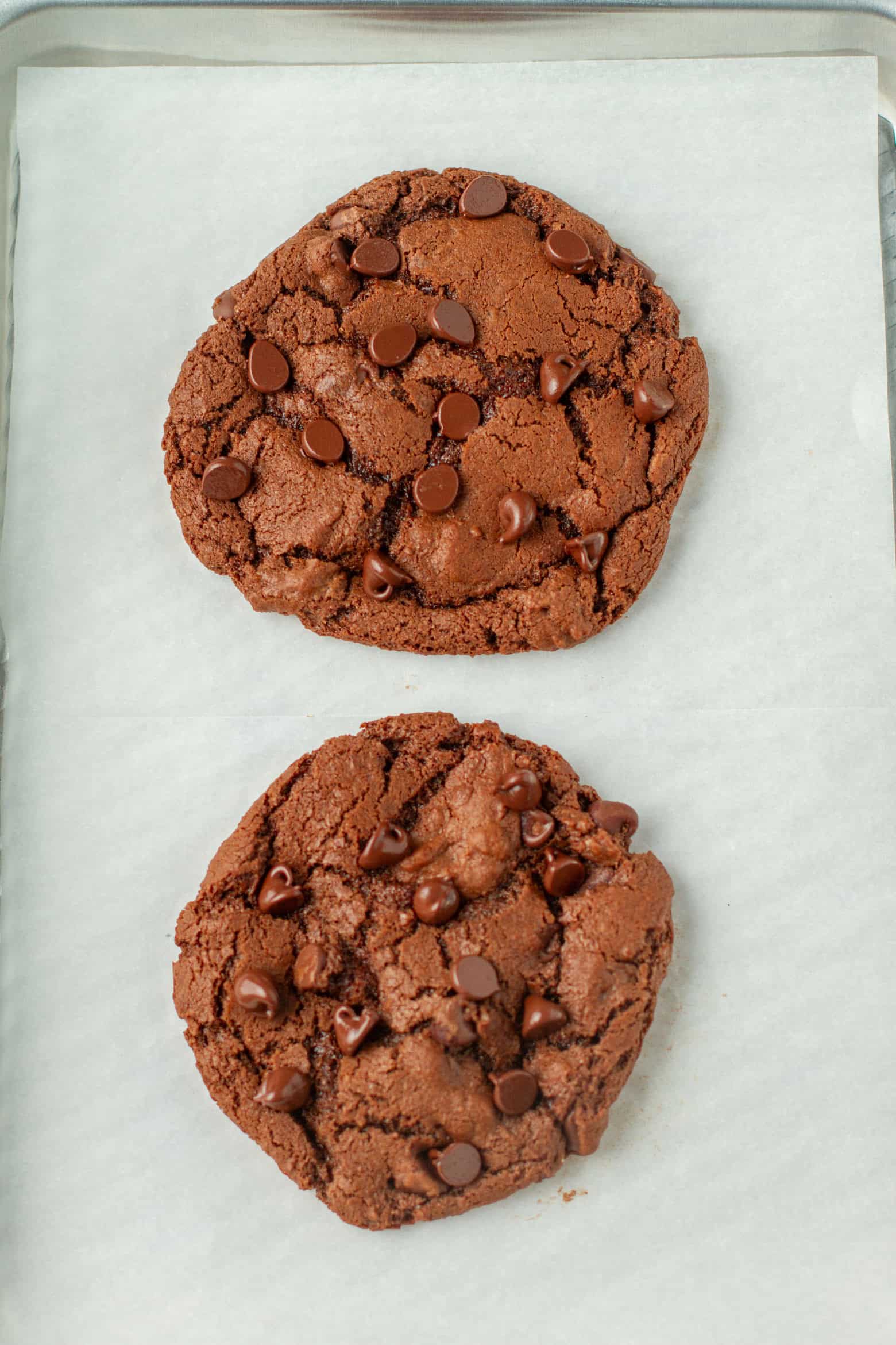 Baked Chocolate Cookies on a baking sheet.
