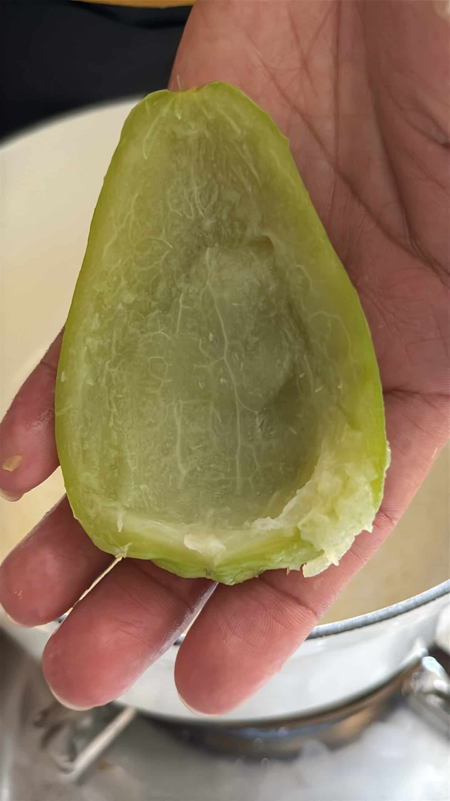 Boiled halved mirliton cut in half showing the flesh scooped out.